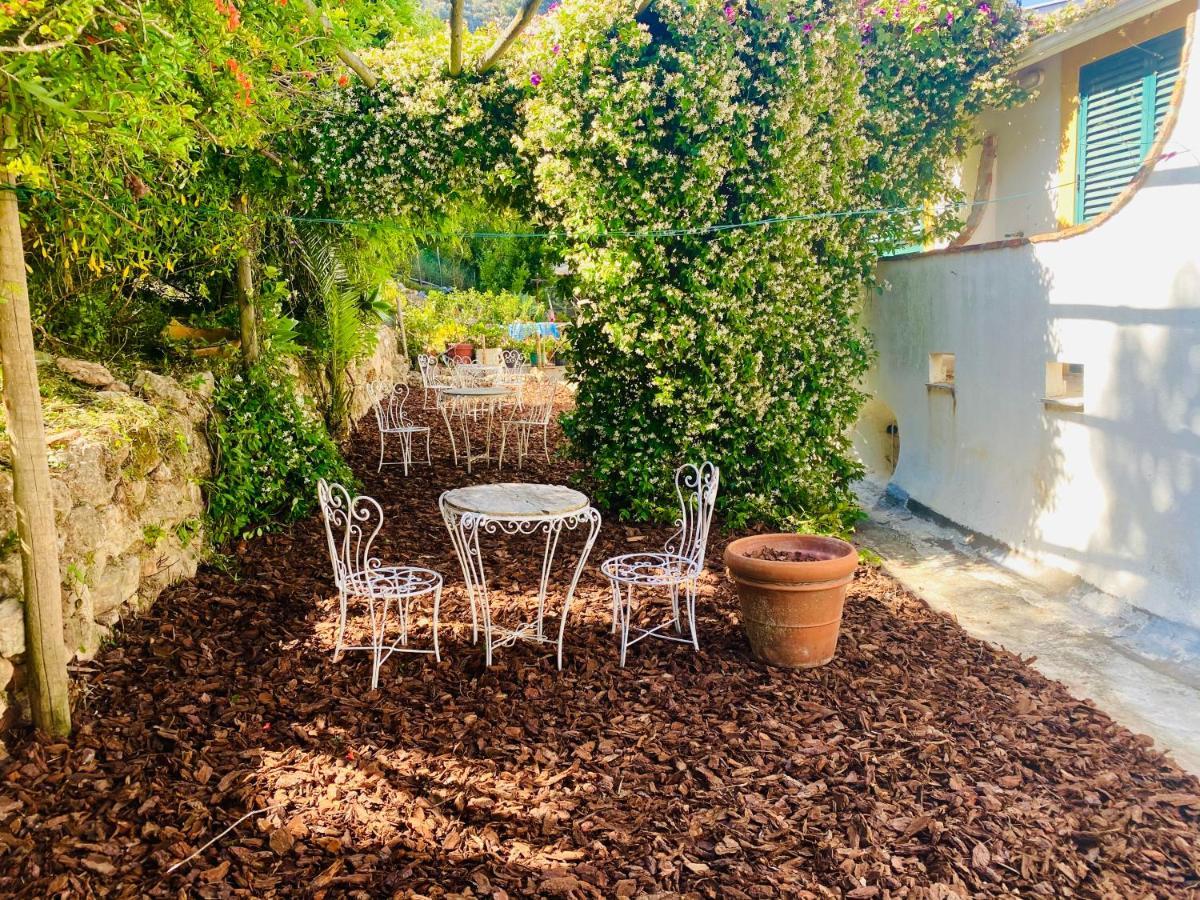 Casa Da Adoa B&B Portinho da Arrabida Bagian luar foto