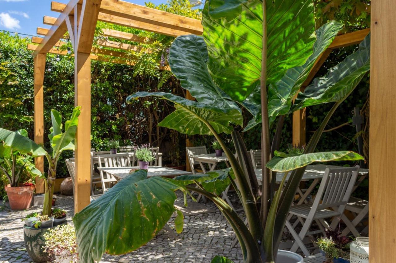 Casa Da Adoa B&B Portinho da Arrabida Bagian luar foto