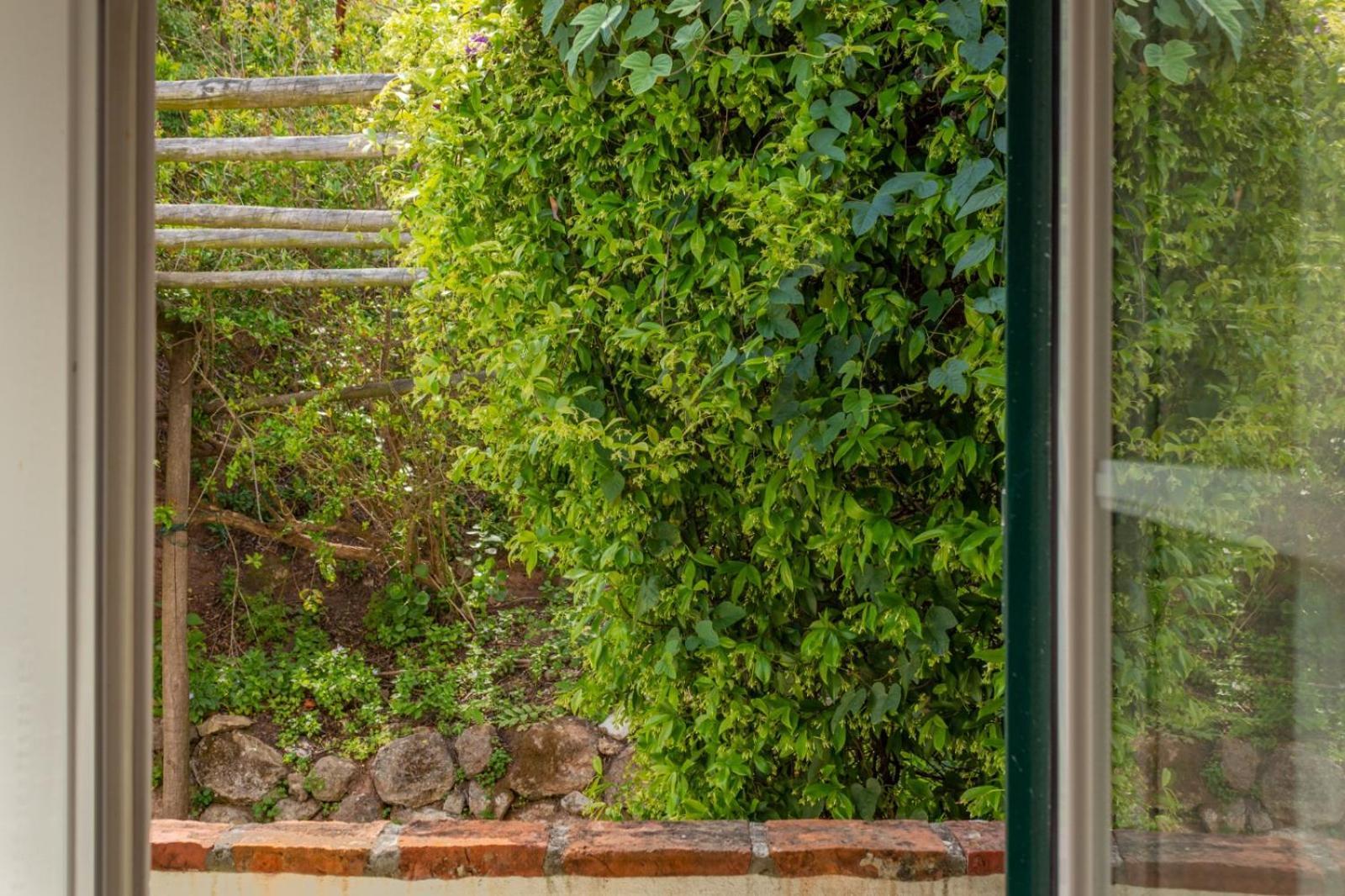 Casa Da Adoa B&B Portinho da Arrabida Ruang foto